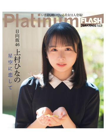 Platinum FLASH Vol.20 110