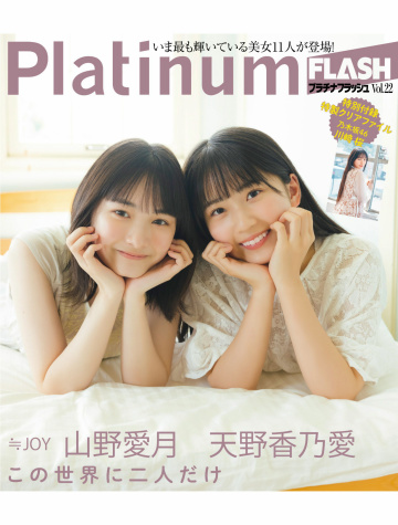 Platinum FLASH Vol.22 112