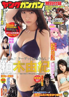 OKK 2013 No.03 1