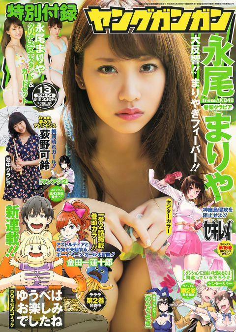 OKK 2014 No.13 1